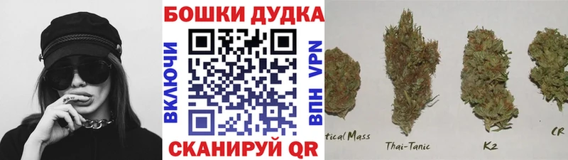 Канабис Amnesia  Усть-Илимск 